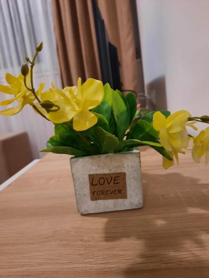 Apartman Rada 2 Bijeljina Bagian luar foto